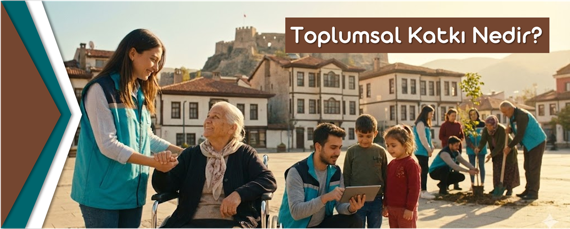 Toplumsal Katkı
